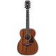 Ibanez Artwood Vintage Thermo Aged AVC9-OPN Acoustic Guitar