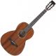 Ibanez AVN2-OPN Artwood Vintage Acoustic Guitar, Pore Natural