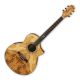 Ibanez EW35ABE-NT Exotic Wood Acoustic Guitar, Natural