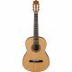 Ibanez G15-LG Classical Guitar, Natural Low Gloss