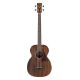 Ibanez PCBE12MH-OPN 4-String Acoustic Bass, Open Pore Natural