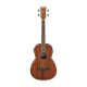 Ibanez PNB14E-OPN Acoustic Bass Guitar, Open Pore Natural