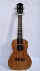 Đàn Ukulele Tenor Gỗ Koa Size 26 Inch