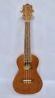 Đàn Ukulele Concert Mitchell Size 23 Inch 