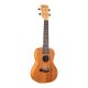 Đàn Ukulele Concert Gecko U23M Gỗ Mahogany Size 23