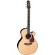 TAKAMINE PRO SERIES P7NC