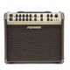 Amplifier Fishman PRO-LBX-EU6