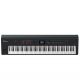 Đàn Piano Điện Roland RD-800