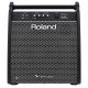 Amplifier Roland PM-200