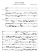 BWV 1043 Concerto for Two Violins in D minor - harp sound - Piano Sheet