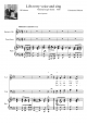 Lift Every Voice and Sing   Johnson Brothers 1928 - Piano Sheet