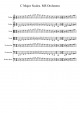 C Major Scales. MS Orchestra - Piano Sheet
