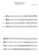 Nightfall Fantasy - Piano Sheet