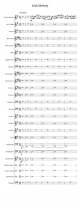 Irish Tunes – Misc - Piano Sheet