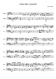 Amar não é pecado - Piano Sheet
