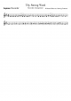 Thy Strong Word - Soprano Recorder 60 bpm - Piano Sheet