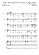 Tam's Small Mass in E minor: Agnus Dei - Piano Sheet