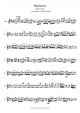Badinerie By: Caleb Rodriguez - Piano Sheet
