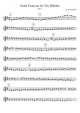 Scale Exercise for Tin Whistle. Part 1 - Piano Sheet