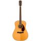 FENDER PM-1 STANDARD DREADNOUGHT