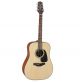 Đàn Guitar Takamine GD10