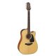 Đàn Guitar Takamine GD10CE