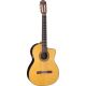 Đàn Guitar Takamine TC132SC