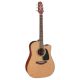 Đàn Guitar Takamine P1DC