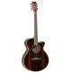 Đàn Guitar Tanglewood DBTSFCEEB Discovery Super Folk