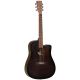 Đàn Guitar Tanglewood TWCR DCE Crossroads Dreadnought Acoustic