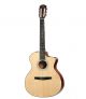 TAYLOR 214CE-N