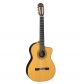 TAKAMINE TH5C