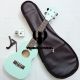 COMBO ĐÀN UKULELE CONCERT XANH NGỌC + BAO DA + CAPO + TUNER